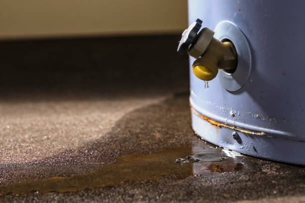 Best Water damage restoration experts  in Broadview Heights, OH