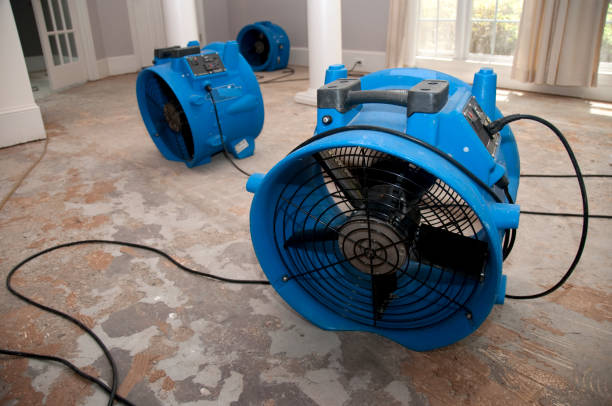 Best 24-hour water damage restoration  in Broadview Heights, OH