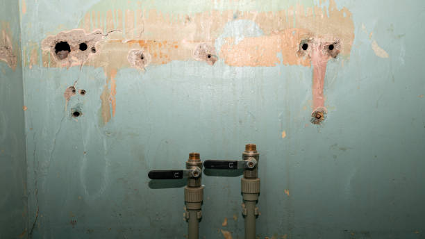  Broadview Heights, OH Water damage restoration Pros
