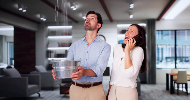 Best Professional water damage repair  in Broadview Heights, OH